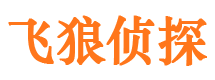 双流外遇调查取证